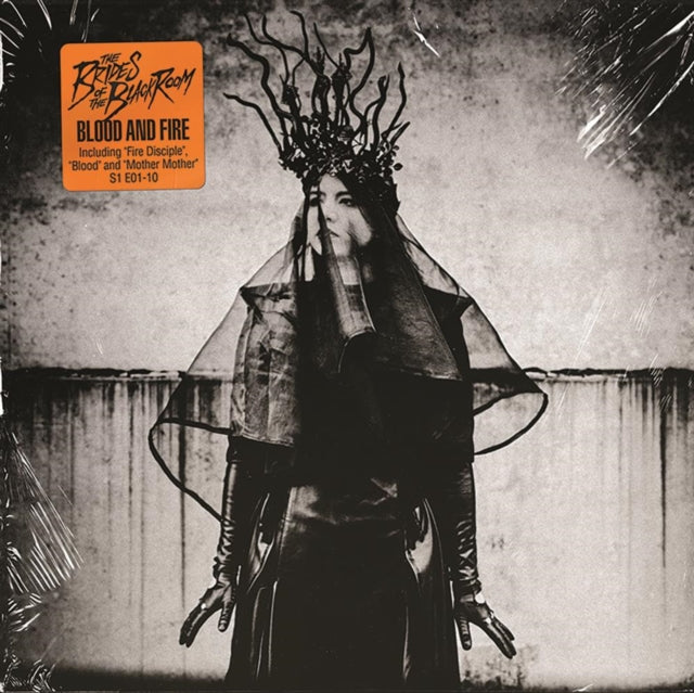 This LP Vinyl is brand new.Format: LP VinylMusic Style: ElectroThis item's title is: Blood & FireArtist: Brides Of The Black RoomLabel: ICONS CREATING EVIL ARTBarcode: 7350049517322Release Date: 10/1/2021