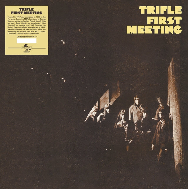 This LP Vinyl is brand new.Format: LP VinylMusic Style: Jazz-RockThis item's title is: First MeetingArtist: TrifleLabel: WiseravenBarcode: 8056099006999Release Date: 5/3/2024