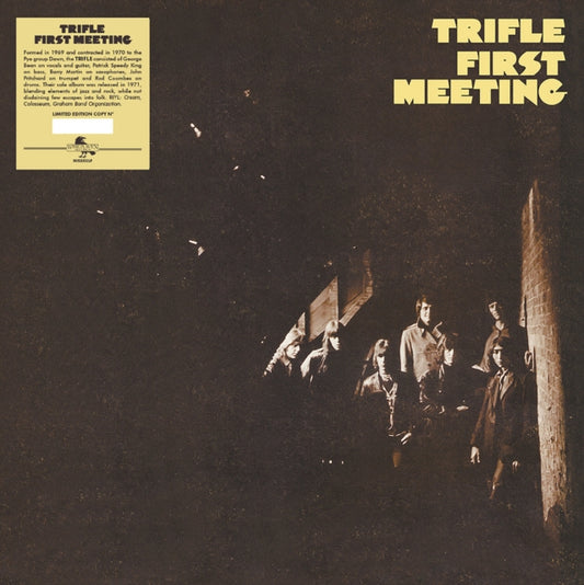 This LP Vinyl is brand new.Format: LP VinylMusic Style: Jazz-RockThis item's title is: First MeetingArtist: TrifleLabel: WiseravenBarcode: 8056099006999Release Date: 5/3/2024