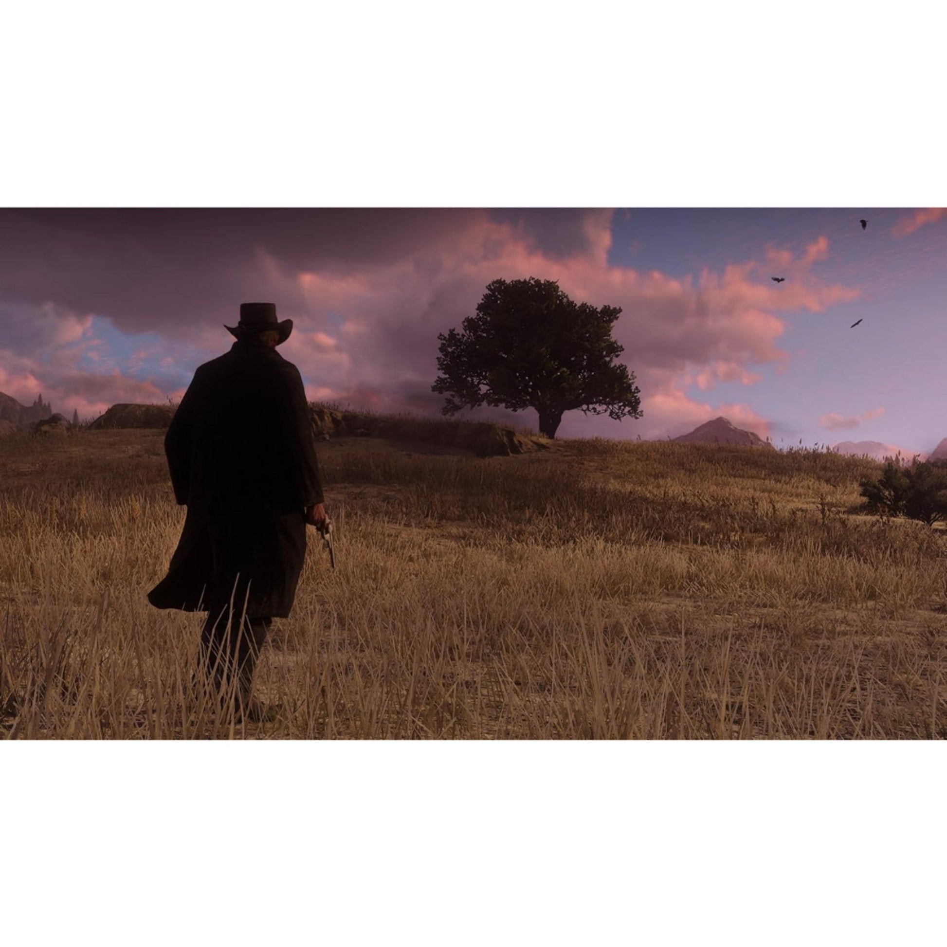 Red Dead Redemption II - PS4