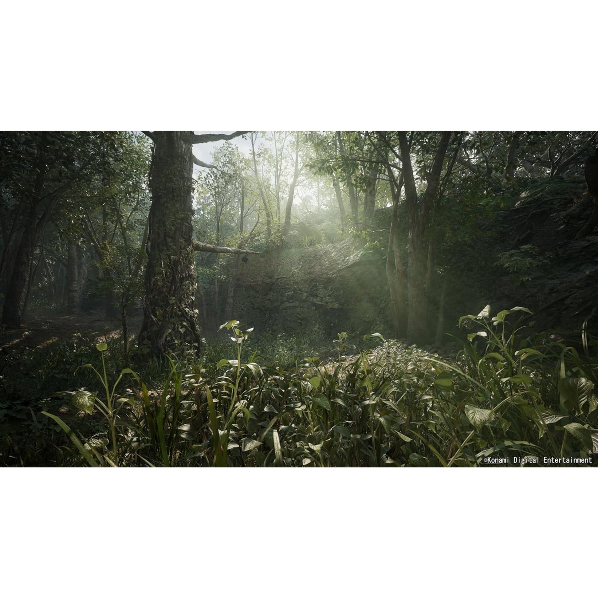 Metal Gear Solid Delta: Snake Eater - PS5