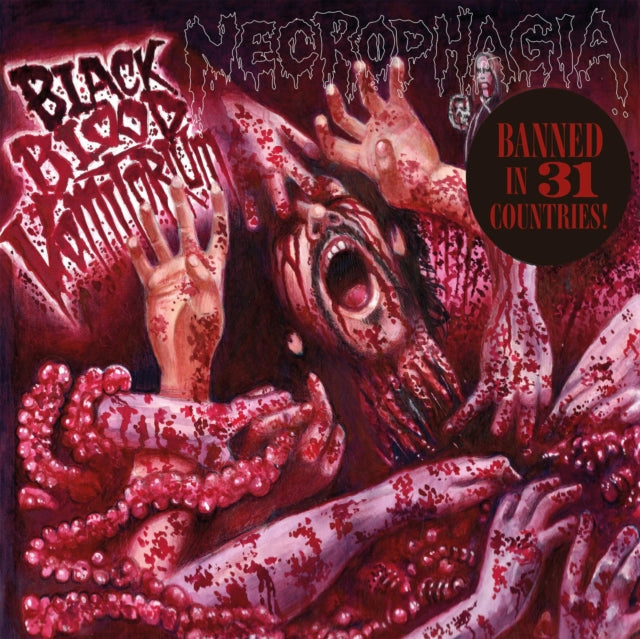 This is a 2 LP Vinyl SKU bundle.
1.This LP Vinyl is brand new.Format: LP VinylThis item's title is: Black Blood VomitoriumArtist: NecrophagiaBarcode: 8592735012356Release Date: 6/28/2024
2.This LP Vinyl is brand new.