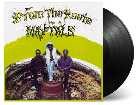 Product Image : This LP Vinyl is brand new.<br>Format: LP Vinyl<br>Music Style: Reggae<br>This item's title is: From The Roots (180G)<br>Artist: Maytals<br>Label: MUSIC ON VINYL<br>Barcode: 8719262022478<br>Release Date: 3/18/2022