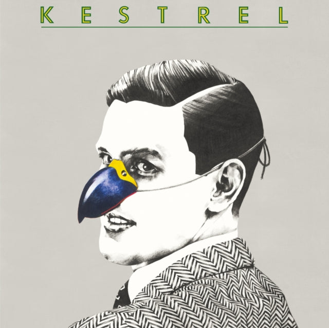 Product Image : This LP Vinyl is brand new.<br>Format: LP Vinyl<br>This item's title is: Kestrel<br>Artist: Kestrel<br>Barcode: 8809114693106<br>Release Date: 3/29/2024