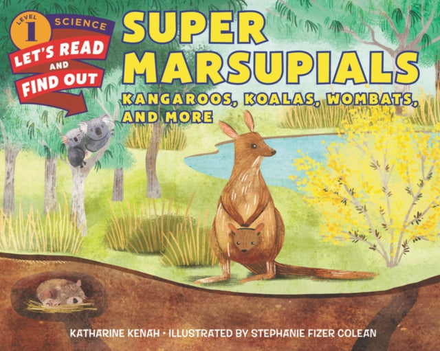 Binding: Hardcover
Description: Read and find out about marsupials amazing kangaroos tree kangaroos koalas Tasmanian devils wombats opossums and sugar gliders in this colorfully illustrated nonfiction picture book. Animals that keep their babies in soft furry pouches are called marsupials.