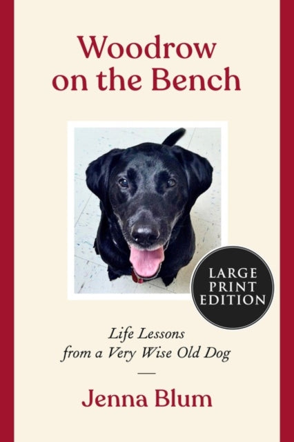 Binding: Paperback
Description: When I say Jenna Blum's upcoming Woodrow on the Bench wrecked me and that I m now sobbing eating all the chocolate I mean it in the best way possible.