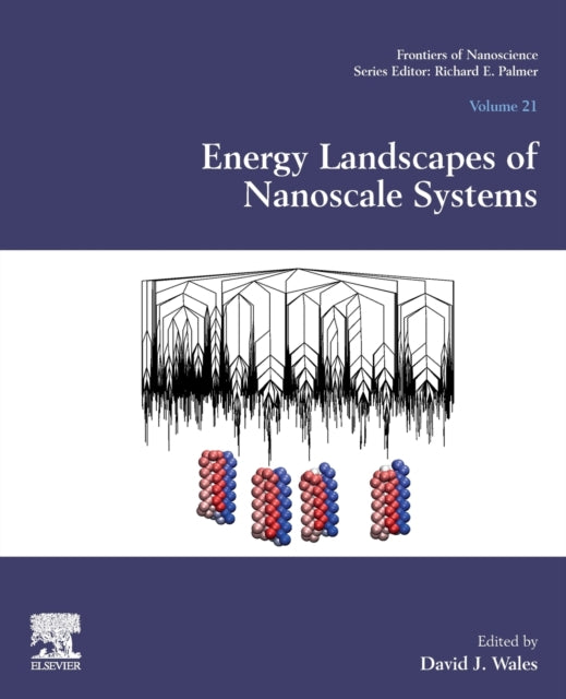 Binding: Paperback
Description: Energy Landscapes of Nanoscale Systems provides a snapshot of the state - of - the - art in energy landscapes theory and applications. The book's chapters reflect diversity and knowledge transfer that is a key strength of the energy landscape approach.
