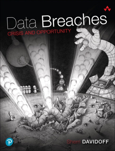 Davidoff Sherri - Data Breaches Crisis And Opportunity - Paperback