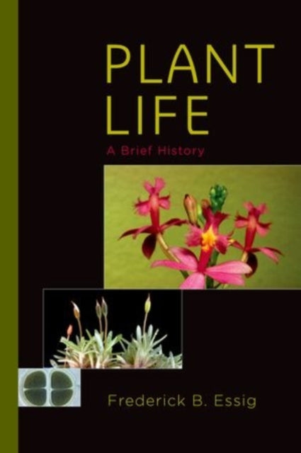 Binding: Hardcover
Description: Charles Darwin the father of the theory of evolution described the evolutionary origin of flowering plants which appear to have risen abruptly during the late Cretaceous Period as an "abominable mystery.