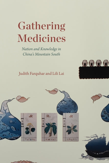 Lai Lili - Gathering Medicines Nation And Knowledge In China's Mountain South - Paperback