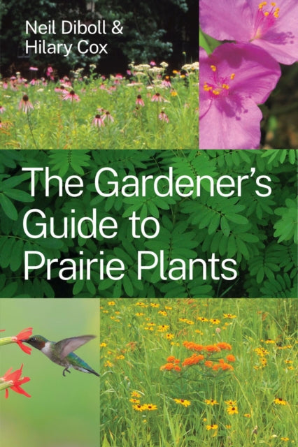 Binding: Paperback
Description: A comprehensive and beautifully illustrated reference for all gardeners passionate about native plants and prairie restoration. The Gardener's Guide to Prairie Plants is the one - stop compendium for all gardeners aspiring to use native prairie plants in their gardens.