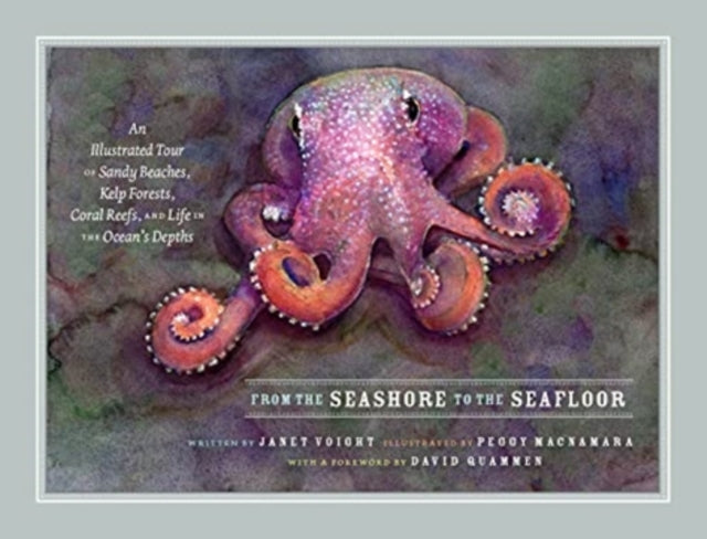 Binding: Hardcover
Description: An octopus expert and celebrated artist offer a deep dive to meet the enchanting inhabitants of the world's marine ecosystems.