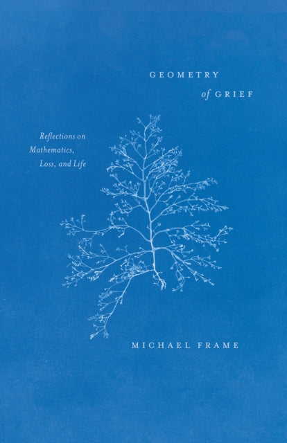 Geometry Of Grief Reflections On Mathematics Loss And Life