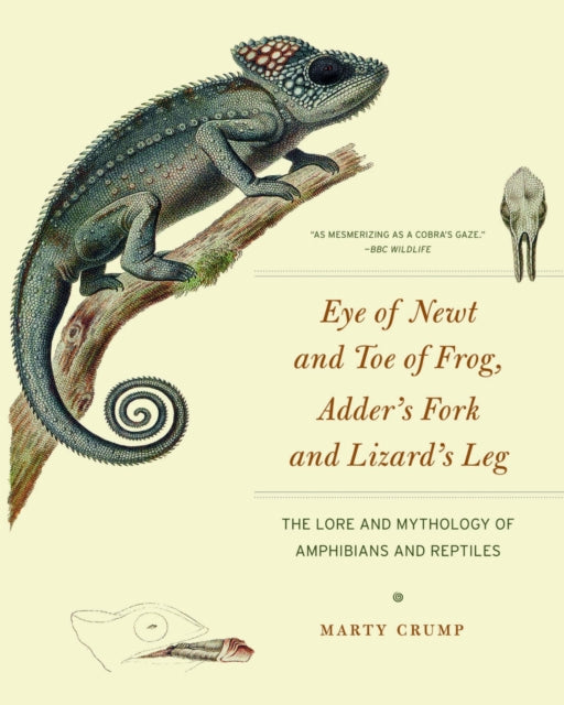 Binding: Paperback
Description: From celebrated herpetologist and science writer Marty Crump a beautifully illustrated exploration of the interlinked stories of herp folklore natural history and conservation. Frogs are worshipped for bringing nourishing rains but blamed for devastating floods.