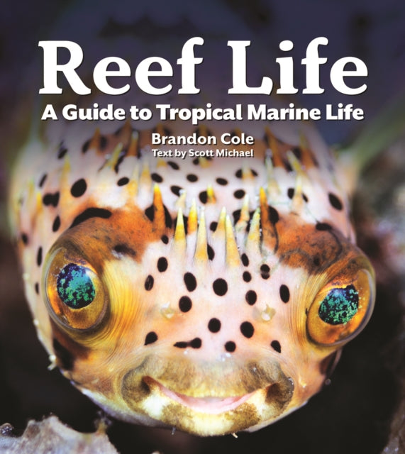 Binding: Paperback
Description: Second revised edition of the colourful field guide to tropical marine life from tide pools to coral reefs and the open ocean beyond.