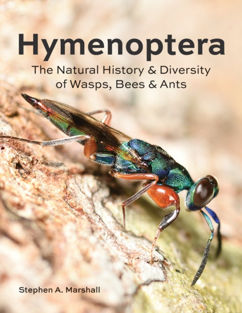 Binding: Hardcover
Description: A comprehensive encyclopaedia of the natural history and diversity of the world's wasps bees and ants with thousands of colour photographs.