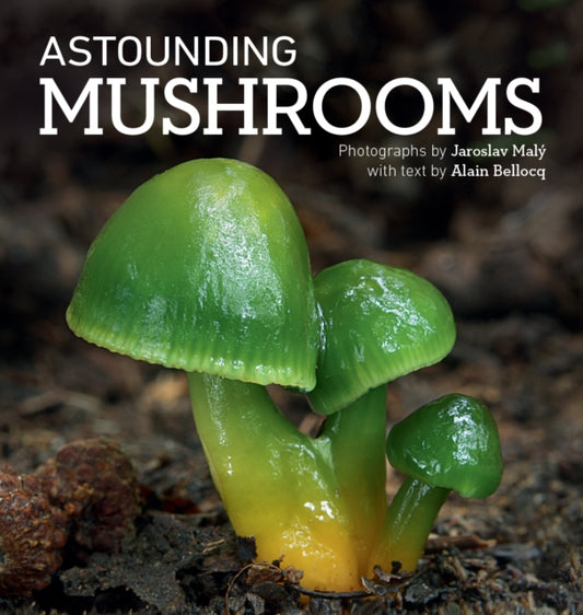 Binding: Paperback
Description: First paperback edition of the collection of full - colour photographs of over 200 mushroom species in their wild habitats worldwide detailing the beauty and diversity of fungi every shade of colour and every detail of texture.