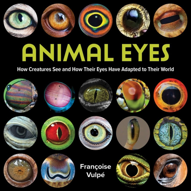 Binding: Paperback
Description: An introduction for pre - teenage young naturalists to the wonderful colourful wide - ranging and sometimes weird eyes that are to be found in the animal kingdom.