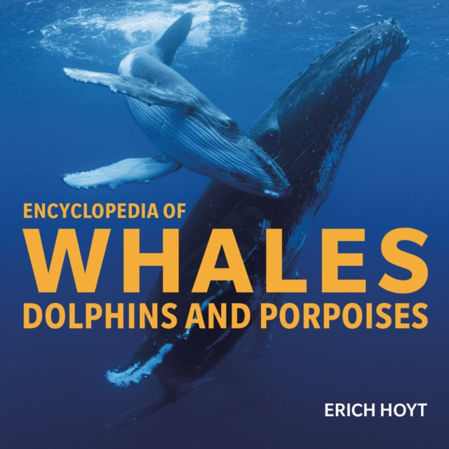 Binding: Paperback
Description: In this updated edition new in paperback an award - winning whale researcher takes readers on an intimate encounter with 93 species of cetaceans in the world's oceans lakes and rivers.