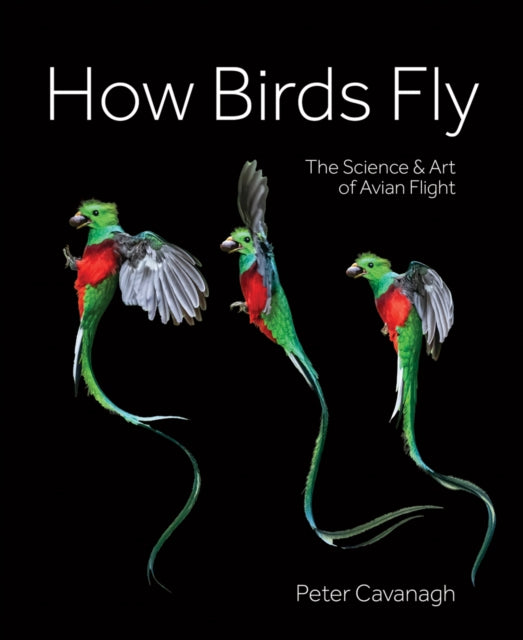 Binding: Hardcover
Description: Through awe - inspiring photography and an expert text the complex evolutions and physics of bird flight are explained making it accessible to bird - lovers of all ages and levels of experience.
