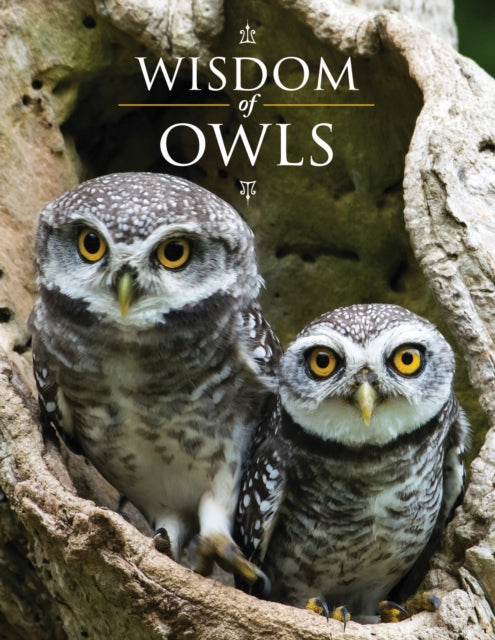 Binding: Hardcover
Description: A gift book combining wise and witty words with photographs of the mysterious nocturnal birds that have long captured our hearts and imaginations.