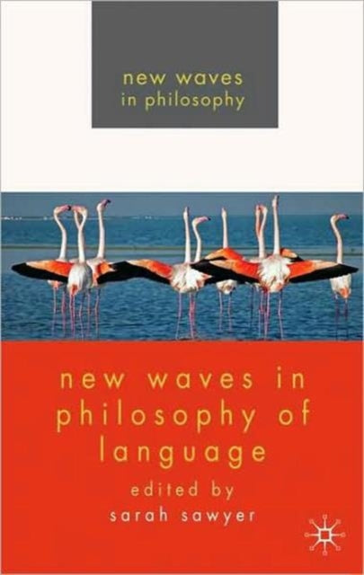 Palgrave Macmillan - New Waves In Philosophy Of Language - Paperback