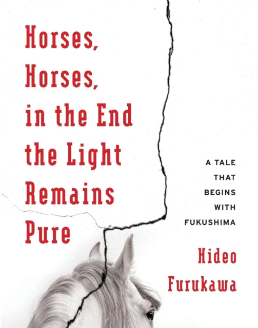 Binding: Paperback
Description: A fusion of fiction history and memoir that replicates the experience of trauma and its effect on memory in ways reminiscent of Nabokov's Speak Memory and Sebald's The Rings of Saturn.