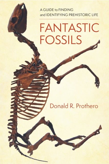 Binding: Hardcover
Description: In Fantastic Fossils Donald R. Prothero offers an accessible entertaining and richly illustrated guide to the paleontologist's journey. He details the best places to look for fossils the art of how to find them and how to classify the major types.