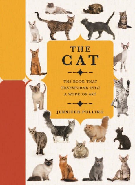Binding: Hardcover
Description: This book celebrates the sheer variety of cats around the world with photography accompanied by text that describes the key characteristics of over 50 species. Create a paperscape.