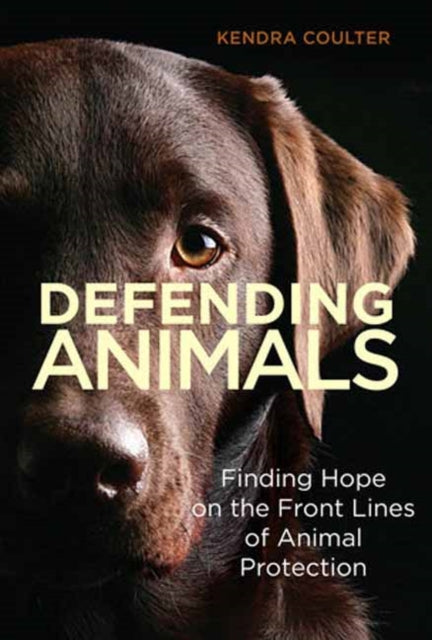 Binding: Paperback
Title: Defending Animals Finding Hope On The Front Lines Of Animal Protection
Author(s): Coulter Kendra
Publisher: Mit Press Ltd
Barcode: 9780262048286
Pages: 256 Pages, 3 Black And White Illustrations
Publication Date: 9/26/2023
Category: Society & Culture: General
