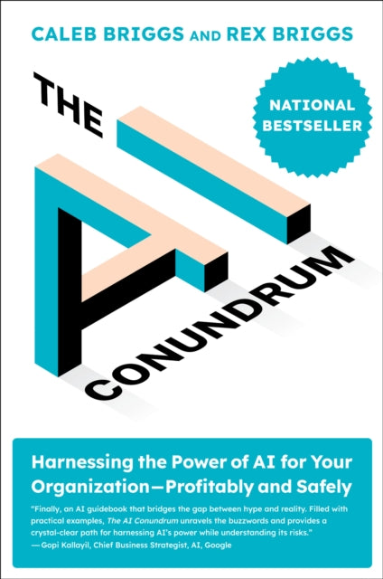 Briggs Rex - The Ai Conundrum Harnessing The Power Of Ai For Your Organization - - Profitably And Safely - Hardcover