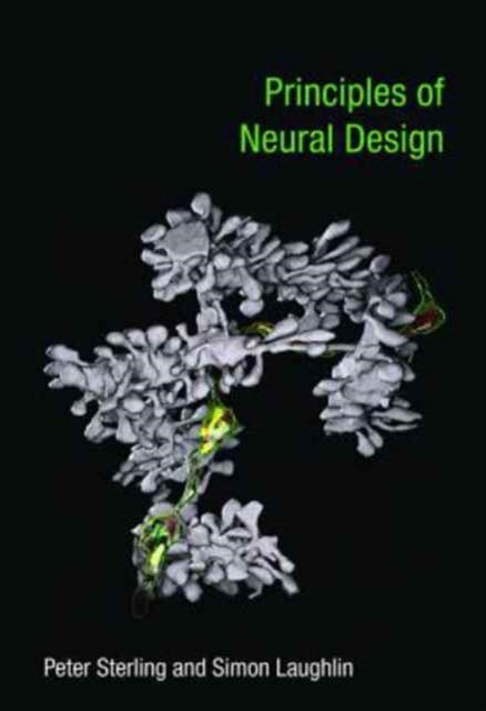 Laughlin Simon (Professor Of Neurobiology University Of Cambridge) - Principles Of Neural Design - Paperback