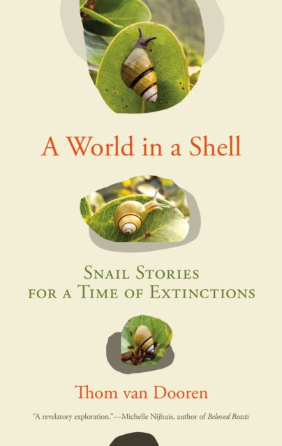 Binding: Paperback
Description: Following the trails of Hawai i's snails to explore the simultaneously biological and cultural significance of extinction. In this time of extinctions the humble snail rarely gets a mention. And yet snails are disappearing faster than any other species.