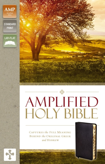 Binding: Special Bindings
Description: Updated edition is even easier to read and better than ever to study and understand Amplified Bibles use a unique system of punctuation italics references and synonyms to unlock subtle shades of meaning as found in the original languages.