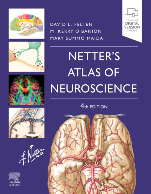 Maida Mary Summo Ph. D. (Adjunct Professor Of Neurobiology & Anatomy University Of Rochester School Of Medicine Rochester New York) - Netter's Atlas Of Neuroscience - Paperback