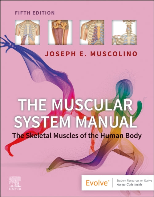 Binding: Paperback
Description: An approachable yet detailed atlas of the muscles of the human body The Muscular System Manual: The Skeletal Muscles of the Human Body 5th Edition provides you with a thorough understanding of skeletal muscles in a compartmentalized customizable layout.