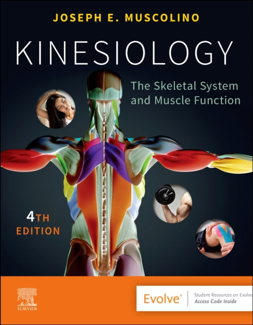 Binding: Paperback
Description: Gain the knowledge and skills you need to provide soft - tissue therapy! Kinesiology: The Skeletal System and Muscle Function 4th Edition provides a complete guide to the art and science of musculoskeletal anatomy movement and dysfunction treatment.