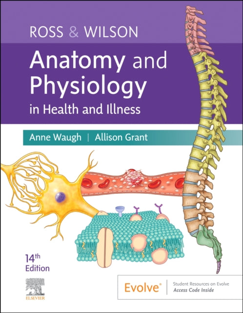 Binding: Paperback
Description: Now in its fourteenth edition this best - selling textbook has been honed over many years to provide a clear straightforward introduction to the human body for students of nursing allied health or biomedical and paramedical science.