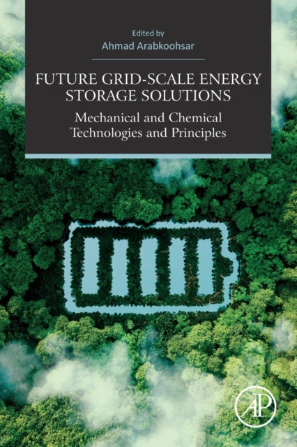 Elsevier Science & Technology - Future Grid - Scale Energy Storage Solutions Mechanical And Chemical Technologies And Principles - Paperback