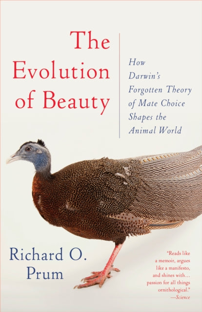 Binding: Paperback
Description: A major reimagining of how evolutionary forces work revealing how mating preferences what Darwin termed "the taste for the beautiful" create the extraordinary range of ornament in the animal world." A delicious read both seductive and mutinous.