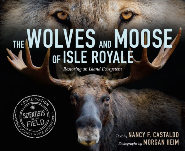 Castaldo Nancy F. - The Wolves And Moose Of Isle Royale Restoring An Island Ecosystem - Hardcover