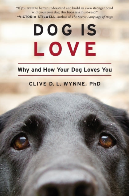 Dog Is Love Why And How Your Dog Loves You