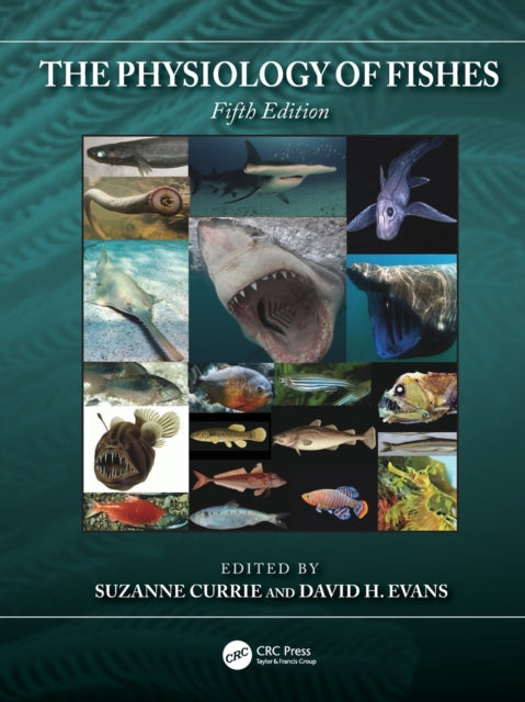 Binding: Paperback
Description: The fifth edition of The Physiology of Fishes represents a compendium of knowledge across fish physiology collecting up - to - date research into an easy - to - access single textbook.