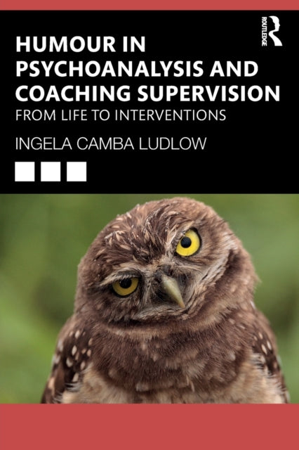 Ludlow Ingela Camba - Humour In Psychoanalysis And Coaching Supervision From Life To Interventions - Paperback