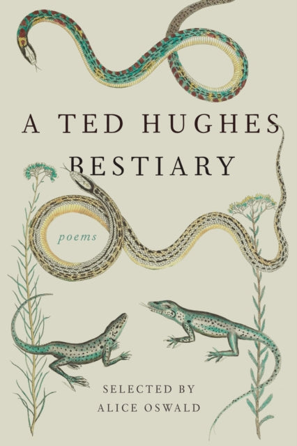 Binding: Paperback
Title: A Ted Hughes Bestiary Poems
Author(s): Hughes Ted, Alice Oswald
Publisher: Farrar Straus And Giroux
Barcode: 9780374272630
Pages: 192 Pages
Language: English
Publication Date: 7/12/2016
Category: Poetry By Individual Poets