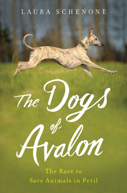 Binding: Hardcover
Description: After adopting an Irish sight hound Laura Schenone discovered a remarkable and little - known fight to gain justice for animals.