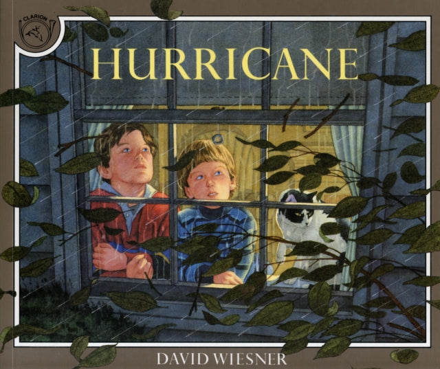 Binding: Paperback
Description: When a storm is raging David and George are glad to be inside the house snug and safe.