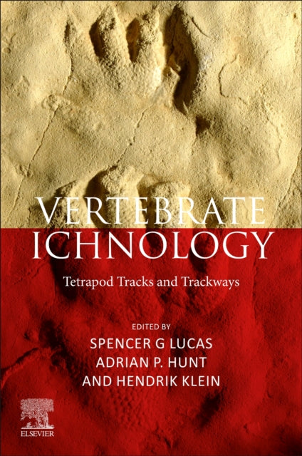 Binding: Paperback
Description: Vertebrate Ichnology: Introduction History Methodology and Devonian - Neogene Tetrapod Tracks is a complete review and analysis of vertebrate trace fossils including how vertebrate trace fossils inform our understanding of major evolutionary events.