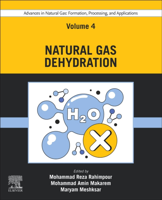 Elsevier - Health Sciences Division - Advances In Natural Gas: Formation Processing And Applications. Volume 4: Natural Gas Dehydration - Paperback