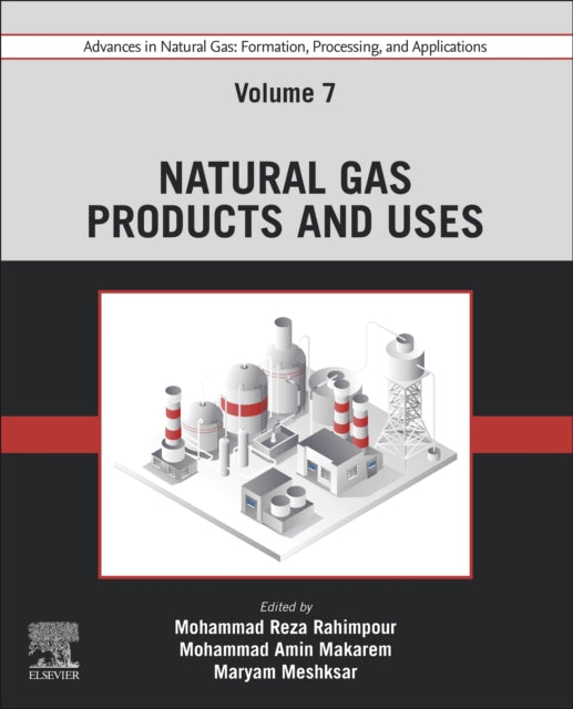 Elsevier - Health Sciences Division - Advances In Natural Gas: Formation Processing And Applications. Volume 7: Natural Gas Products And Uses - Paperback